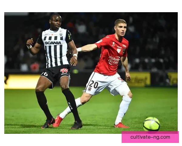 南特俱乐部宣布新赛季目标与阵容调整 期待重回法甲前列